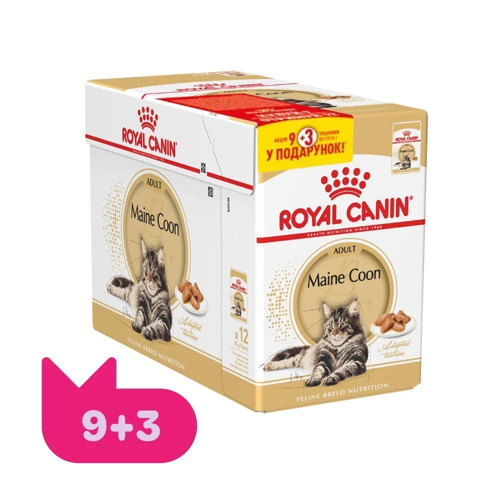 Упаковка вологого корму для котів Royal Canin Maine Coon Adult Gravy 9+3 шт х 85 г Упаковка вологого корму для котів Royal Canin Maine Coon Adult Gravy 9+3 шт х 85 г