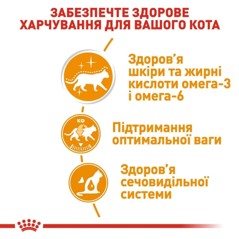 Упаковка вологого корму для котів Royal Canin Hair & Skin Care Gravy 3+1 шт х 85 г Упаковка вологого корму для котів Royal Canin Hair & Skin Care Gravy 3+1 шт х 85 г