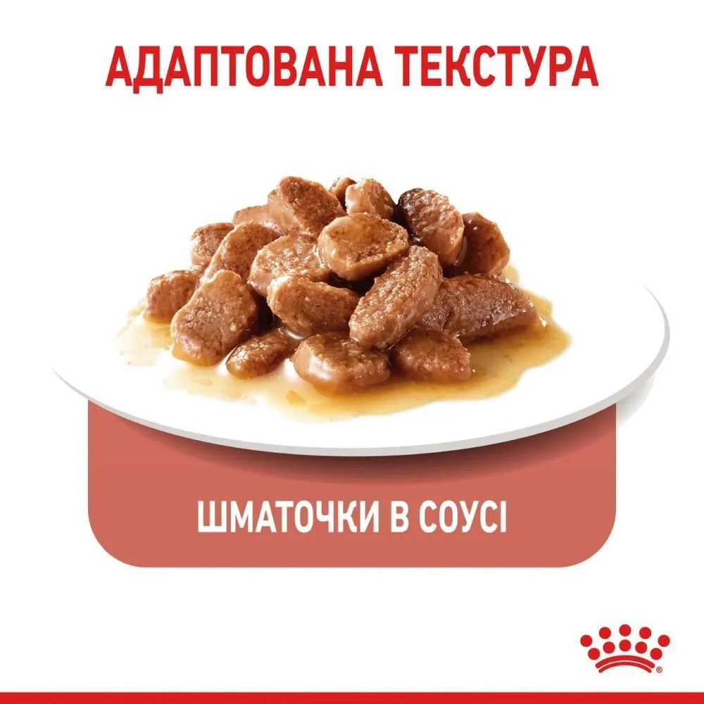 Упаковка вологого корму для котів Royal Canin Hair & Skin Care Gravy 3+1 шт х 85 г Упаковка вологого корму для котів Royal Canin Hair & Skin Care Gravy 3+1 шт х 85 г