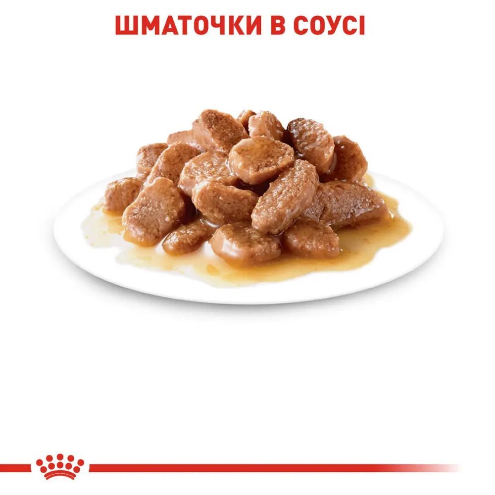 Влажный корм для кошек Royal Canin Digest Sensitive Gravy pouch 9+3 шт х 85 г
