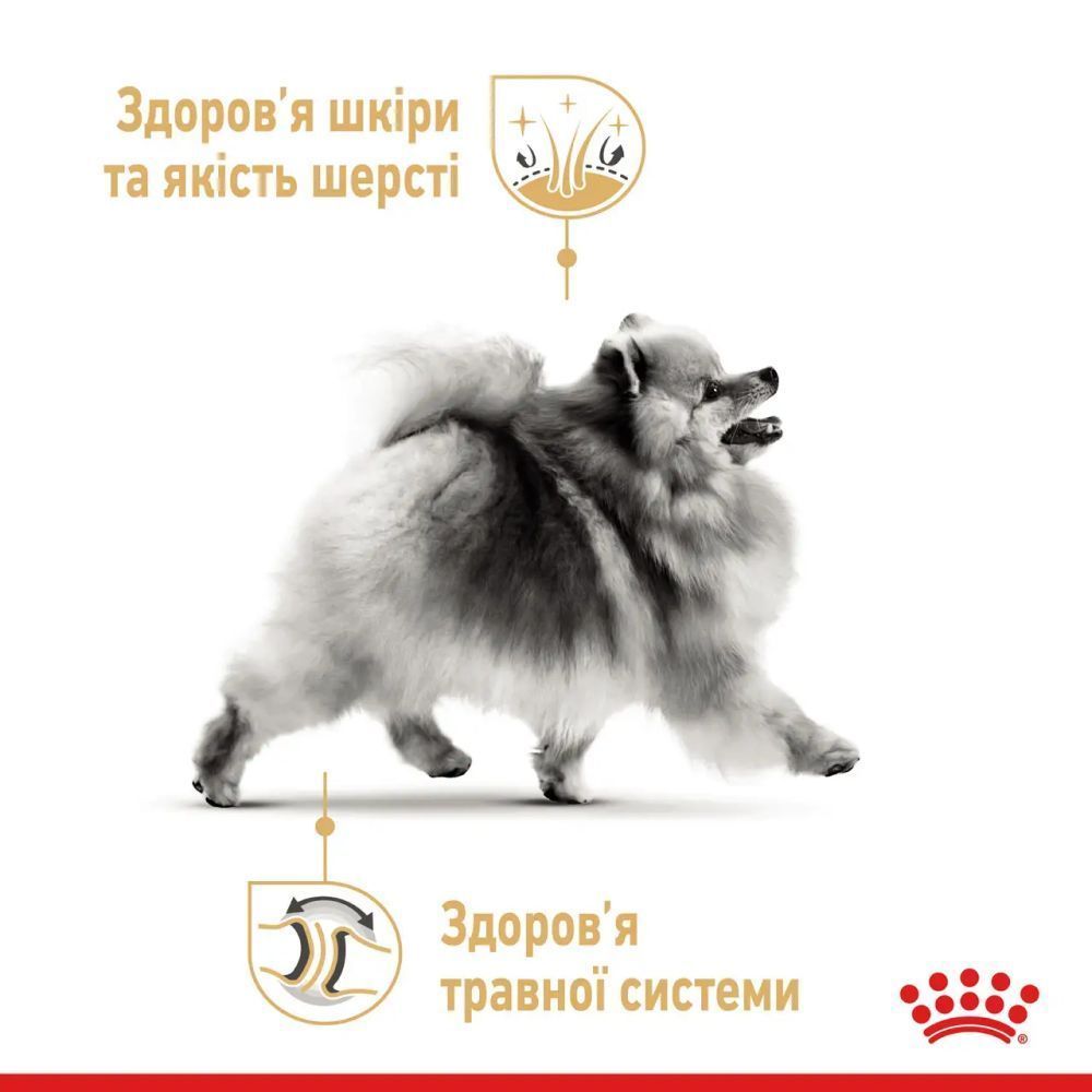 Упаковка влажного корма для собак Royal Canin Pomeranian Adult Loaf 9+3 шт. х 85 г
