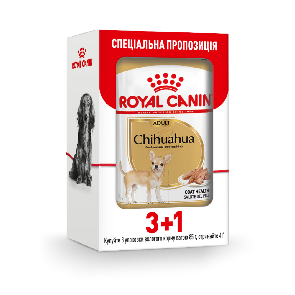 Влажный корм для собак Royal Canin Chihuahua Adult pouch 3+1 шт. х 85 г Влажный корм для собак Royal Canin Chihuahua Adult pouch 3+1 шт. х 85 г