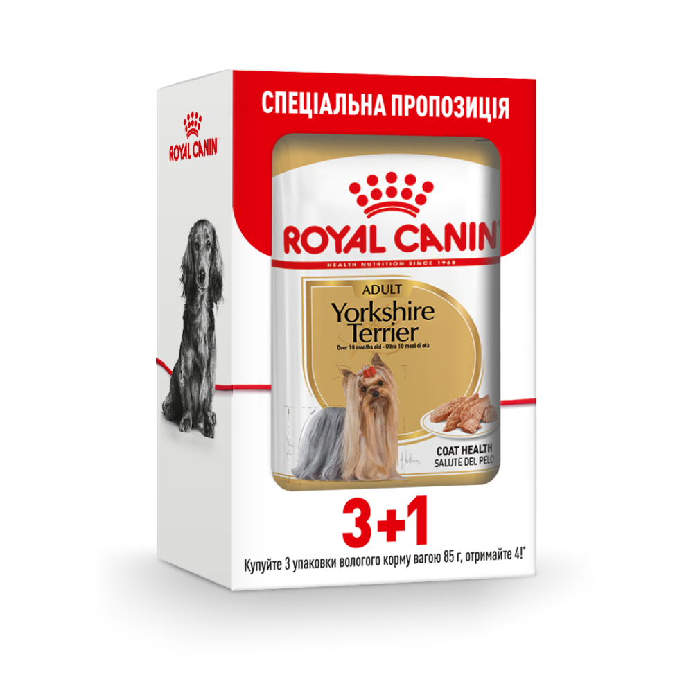 Влажный корм для собак Royal Canin Yorkshire Terrier Adult pouch 3+1 шт х 85 г Влажный корм для собак Royal Canin Yorkshire Terrier Adult pouch 3+1 шт х 85 г