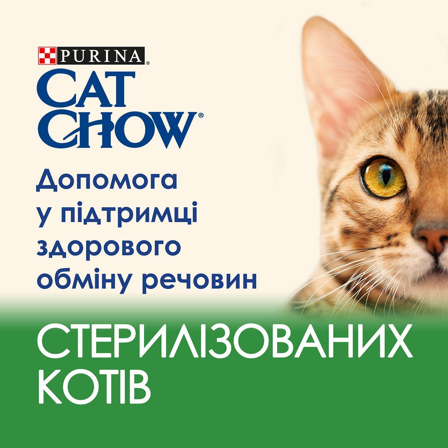 Вологий корм для котів Cat Chow Sterilised 85 г - ягня та квасоля Вологий корм для котів Cat Chow Sterilised 85 г - ягня та квасоля