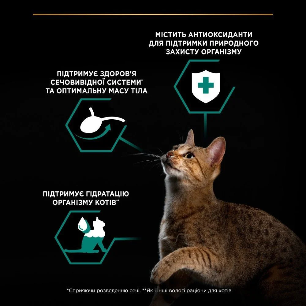 Вологий корм для котів Pro Plan Adult Sterilised Maintenance 85 г - яловичина