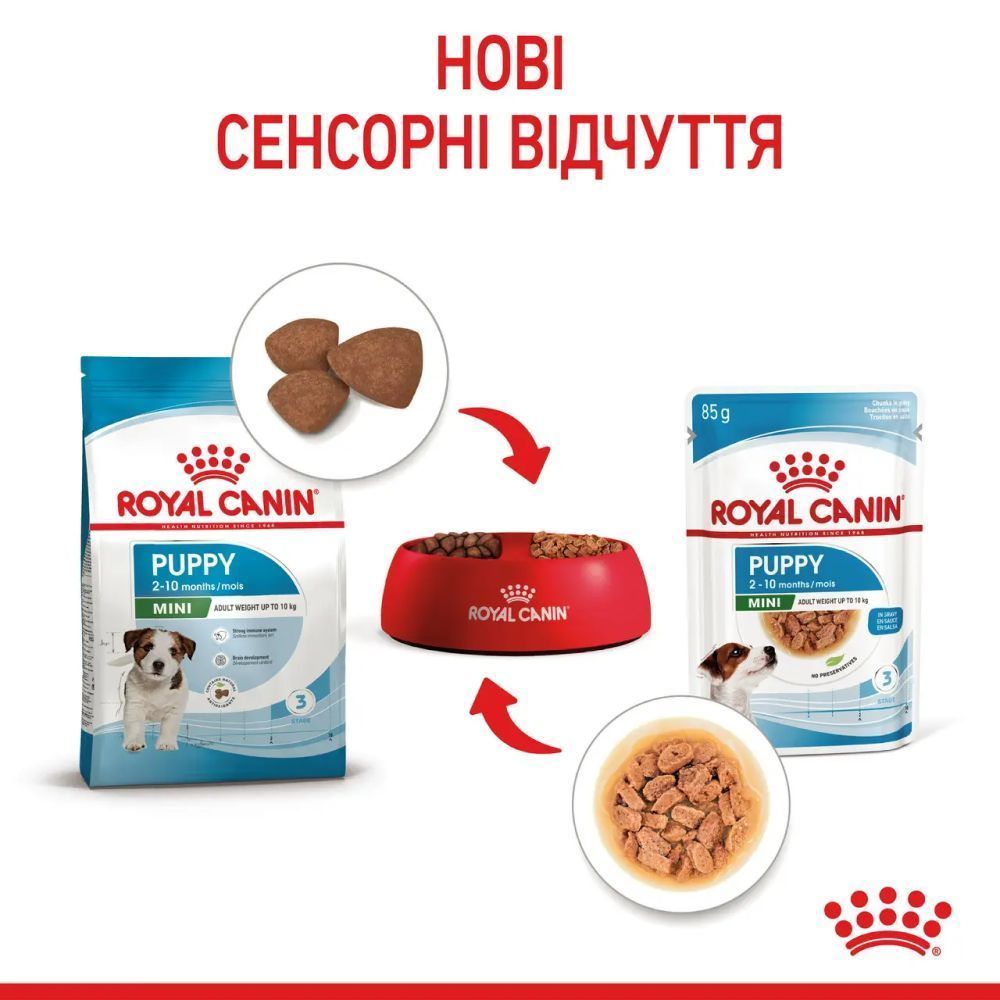 Упаковка влажного корма для щенков Royal Canin Mini Puppy Sauce 9+3 шт. х 85 г