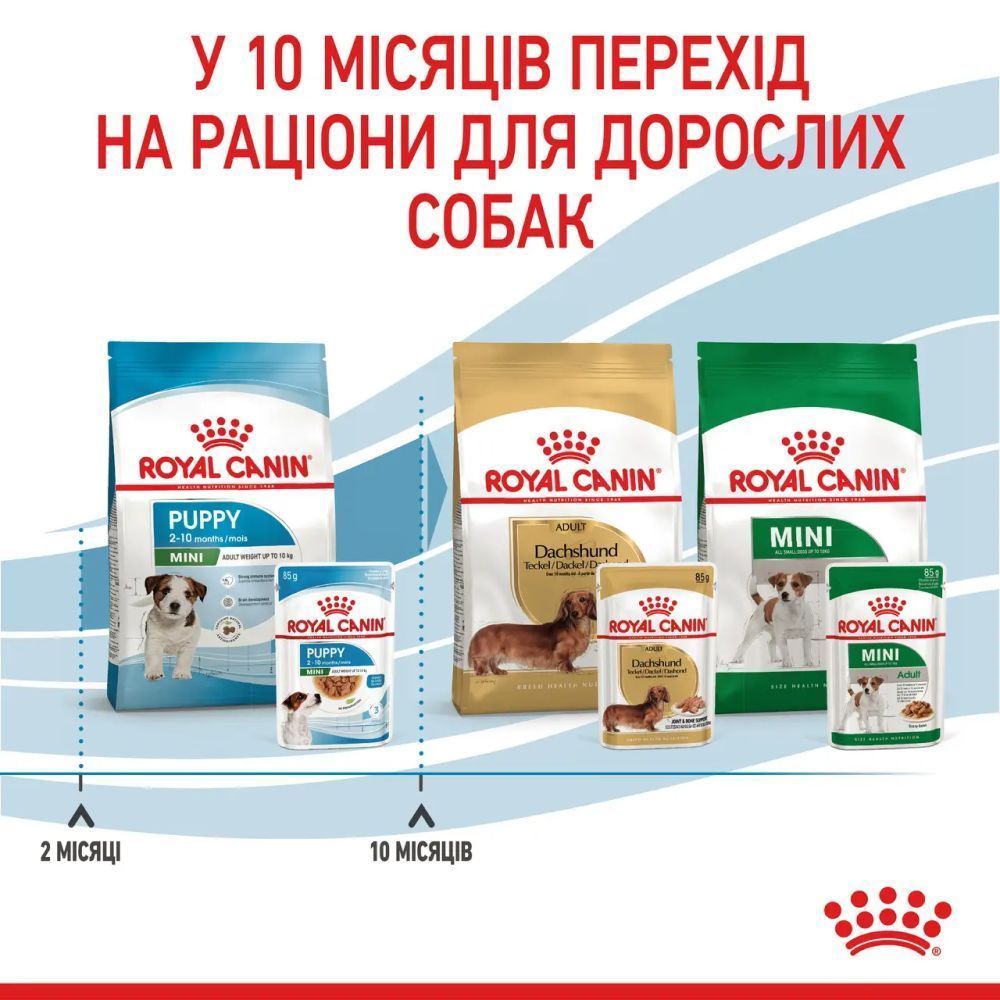 Упаковка влажного корма для щенков Royal Canin Mini Puppy Sauce 9+3 шт. х 85 г
