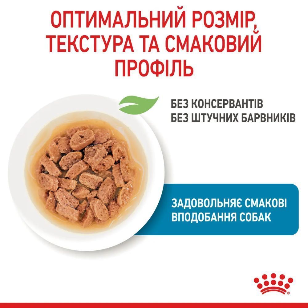 Упаковка влажного корма для щенков Royal Canin Mini Puppy Sauce 9+3 шт. х 85 г