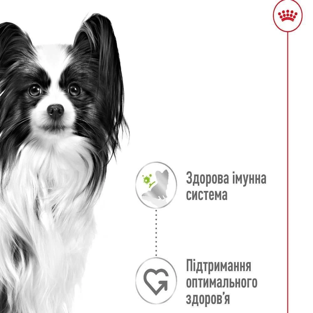 Влажный корм для собак Royal Canin X-Small Adult 85 г