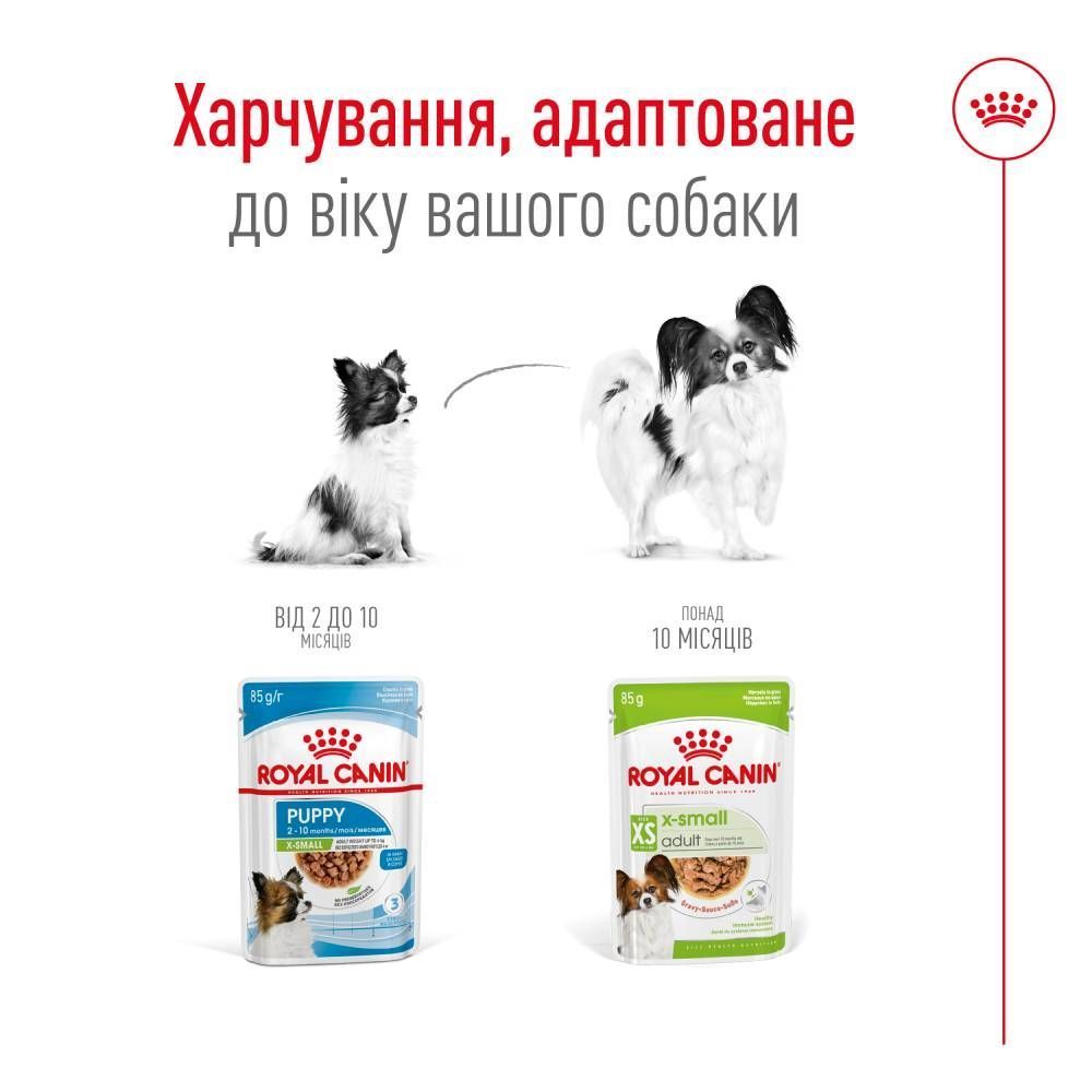 Влажный корм для собак Royal Canin X-Small Adult 85 г