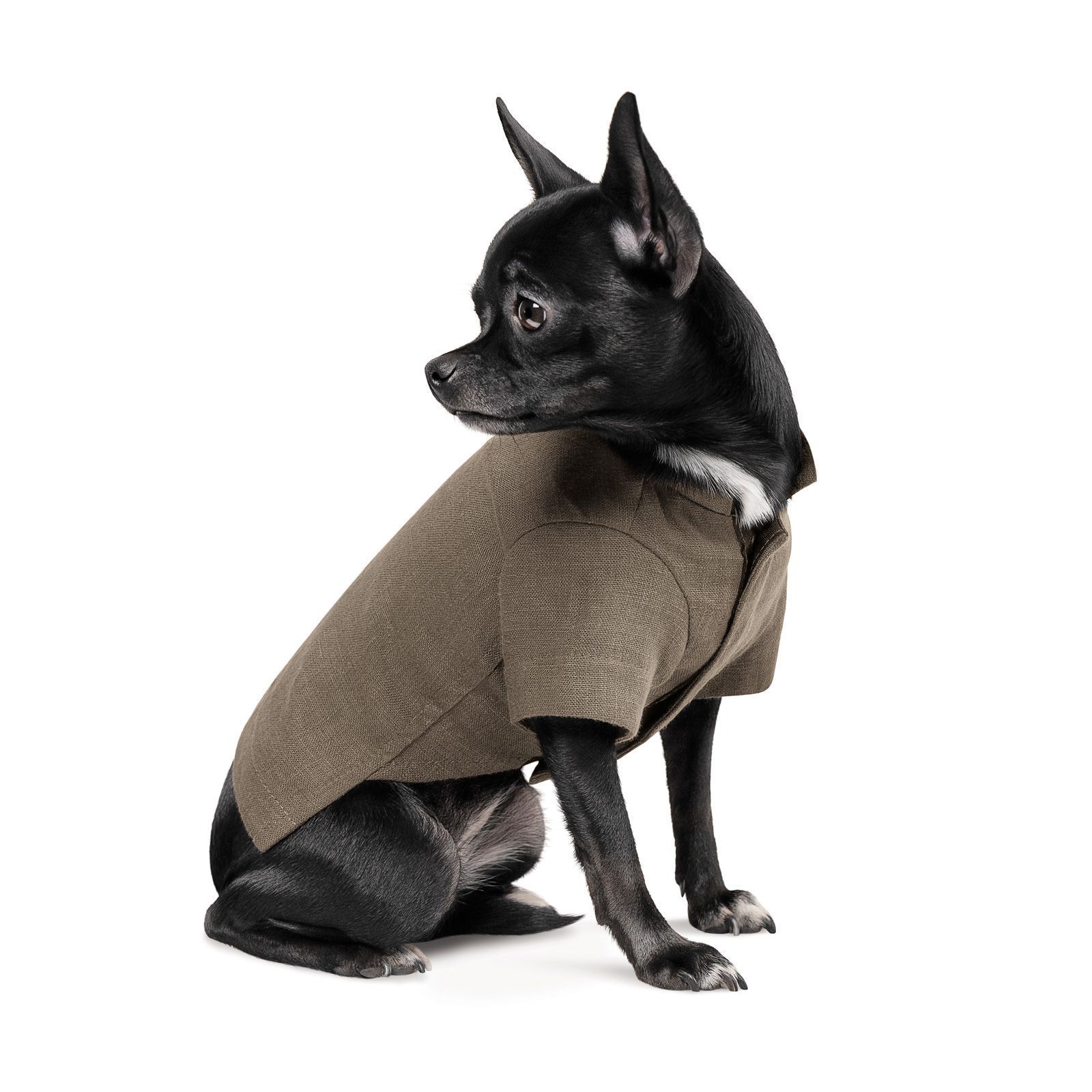 Вышиванка для собак Pet Fashion «Marco» XXS Вышиванка для собак Pet Fashion «Marco» XXS