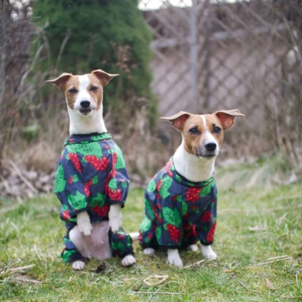 Waudog Clothes Калина вітровка для собак XS-30