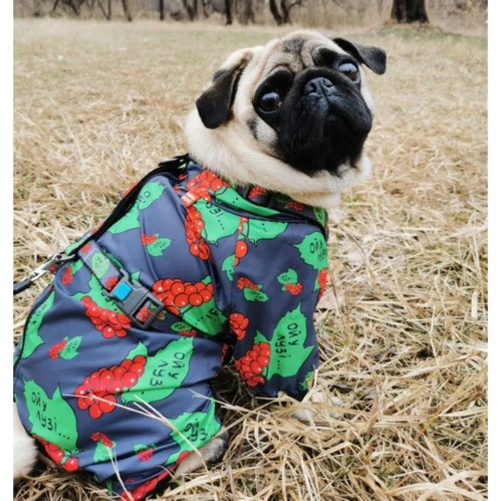 Waudog Clothes Калина вітровка для собак XS-30