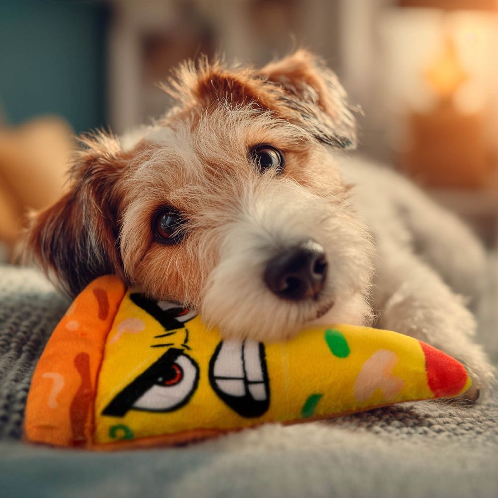Waudog Fun Plush Піца іграшка для собак 16х22,5 см - різнокольоровий