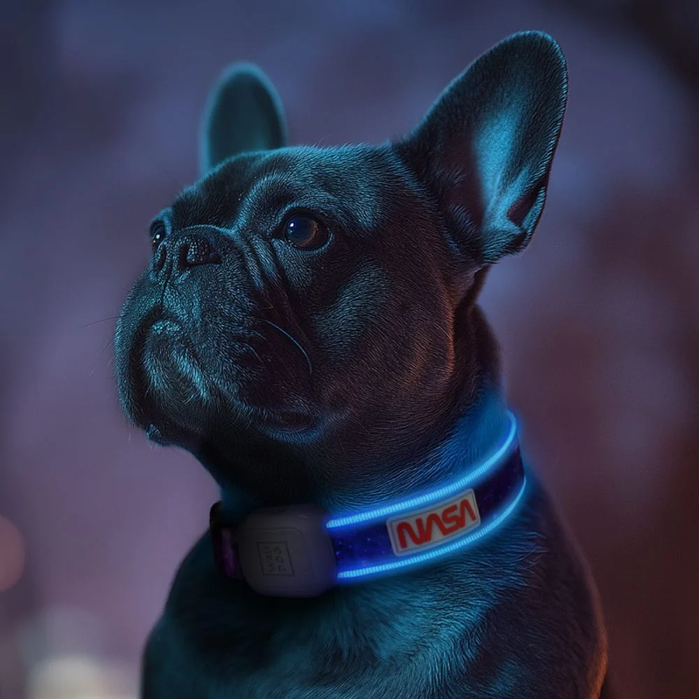 Waudog Led NASA21 нашийник для собак S-M - різнокольоровий з підсвічуванням Waudog Led NASA21 нашийник для собак S-M - різнокольоровий з підсвічуванням