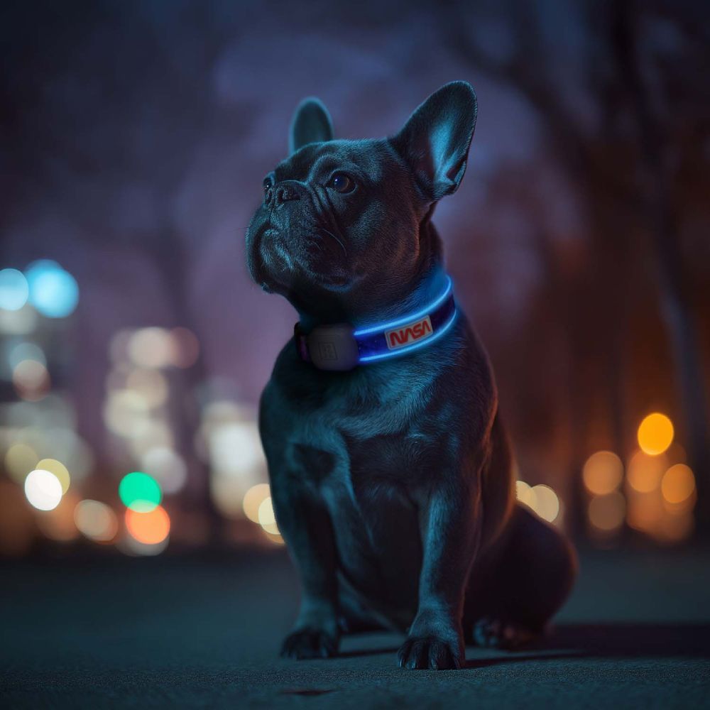 Waudog Led NASA21 нашийник для собак S-M - різнокольоровий з підсвічуванням Waudog Led NASA21 нашийник для собак S-M - різнокольоровий з підсвічуванням