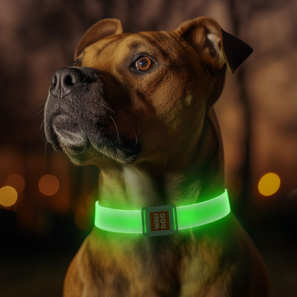 Waudog Led ошейник для собак S - прозрачный с подсветкой