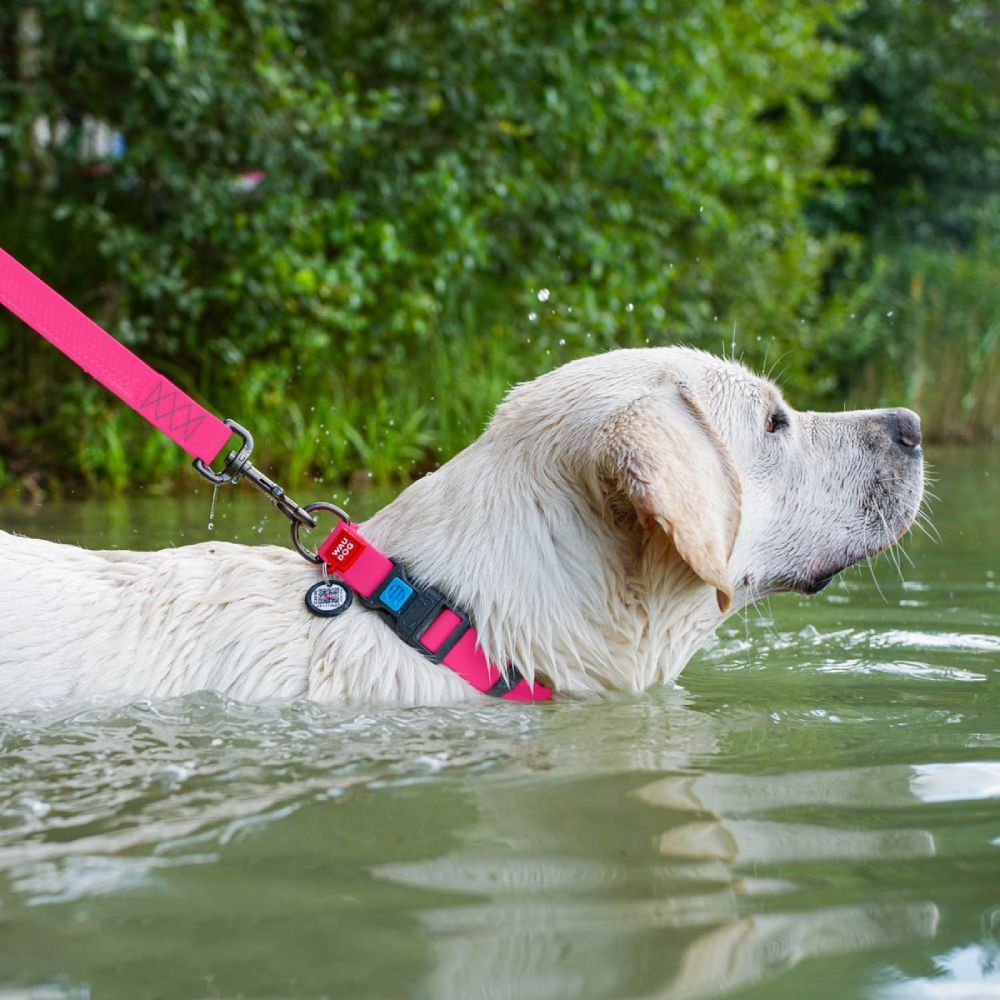 Waudog Waterproof повідець для собак М - рожевий Waudog Waterproof повідець для собак М - рожевий