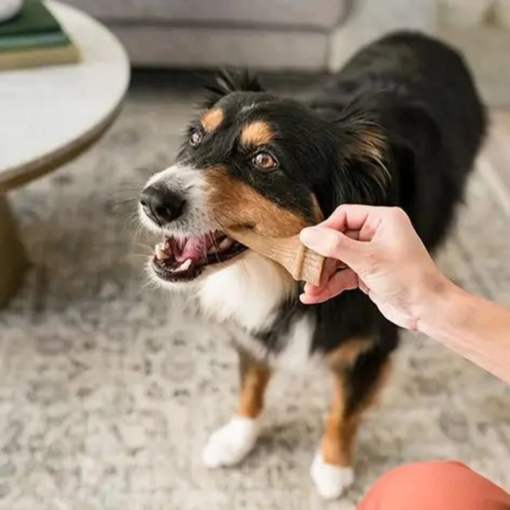 Ласощі для собак Whimzees Wellness Occupy Antler Daily Dental Treats S 24 шт х 15 г