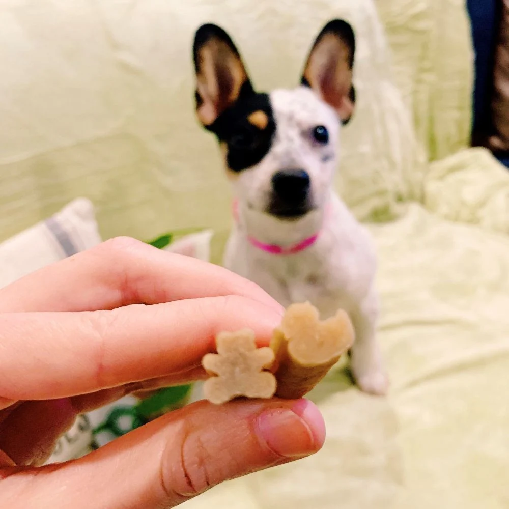 Ласощі для цуценят Whimzees Wellness Daily Dental Treats Puppy XS/S 28 шт х 7,5 г