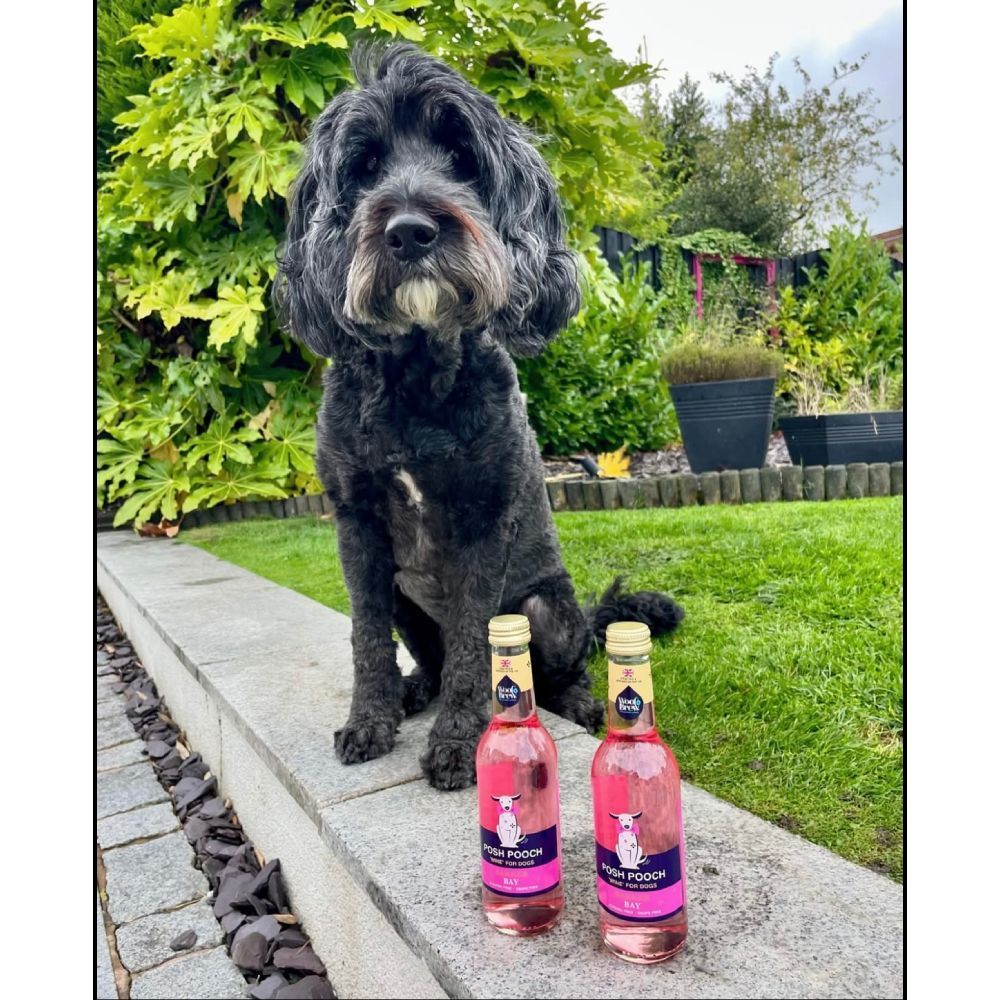 Корисна добавка вино для собак Woof & Brew Posh Pooch Wine 250 мл