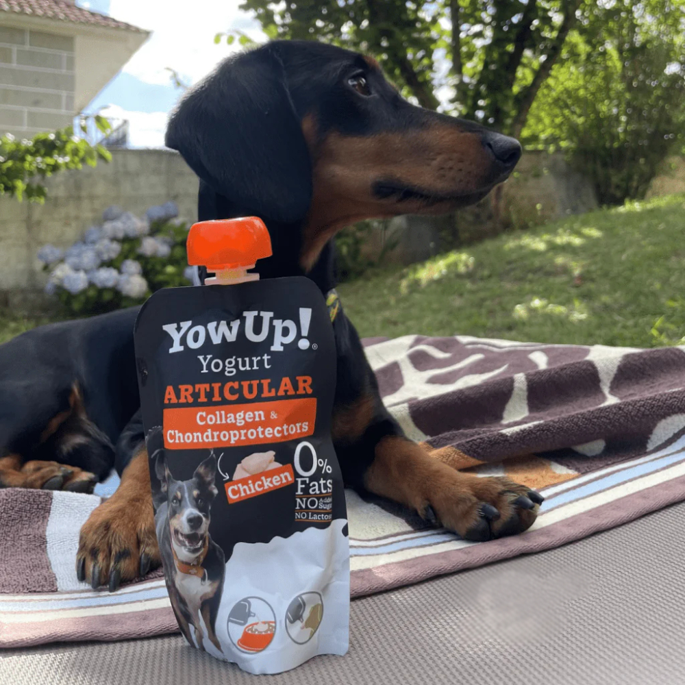 Йогурт для собак YowUp Yogurt Articular Dog 115 г - курка, колаген та хондропротектори Йогурт для собак YowUp Yogurt Articular Dog 115 г - курка, колаген та хондропротектори