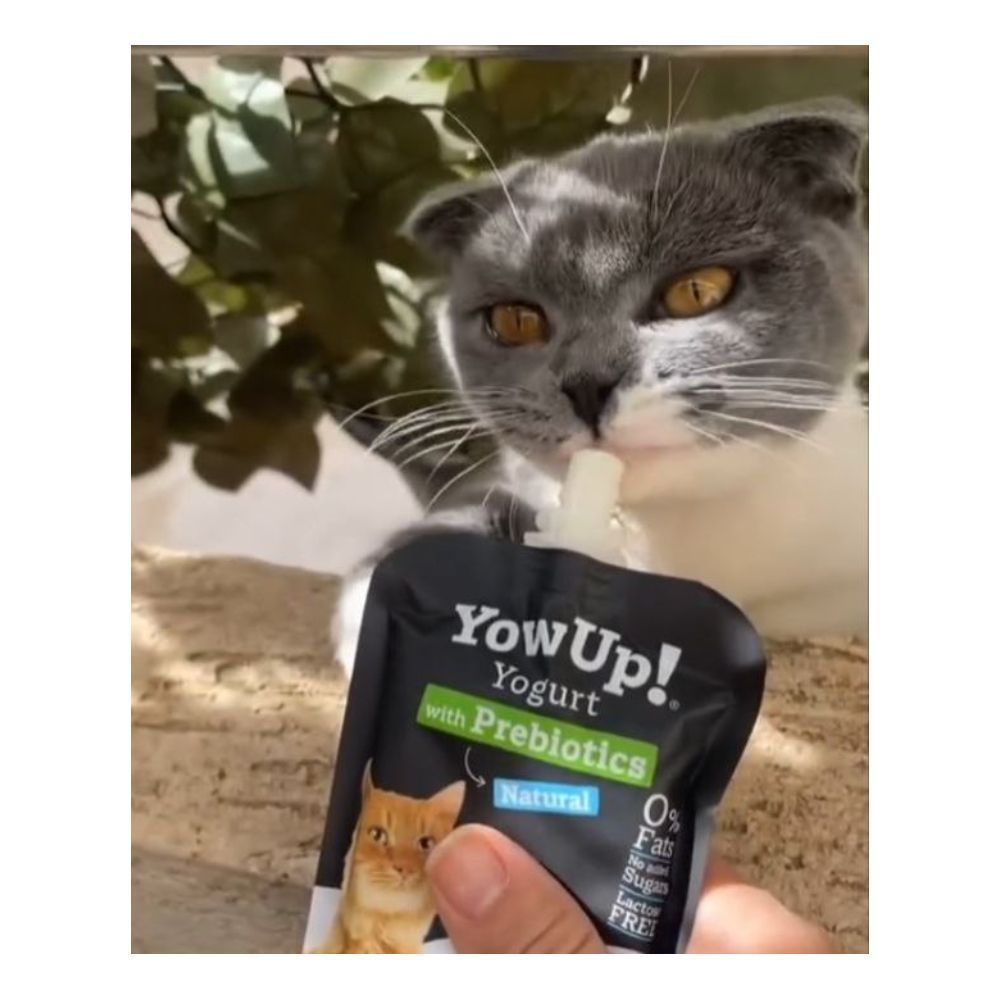 Йогурт для котів YowUp Yogurt Natural Cat 85 г - пребіотики Йогурт для котів YowUp Yogurt Natural Cat 85 г - пребіотики
