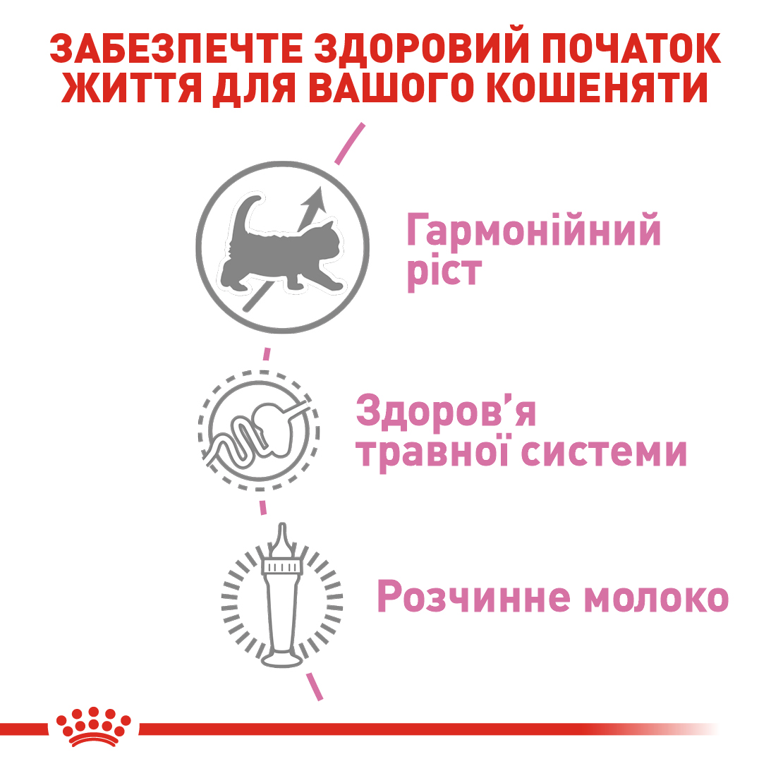 Заменитель молока для котят всех пород Royal Canin Babycat Milk 300 г для котят всех пород