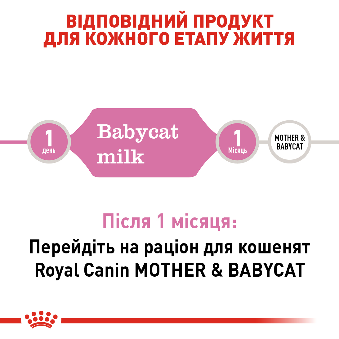 Заменитель молока для котят всех пород Royal Canin Babycat Milk 300 г для котят всех пород