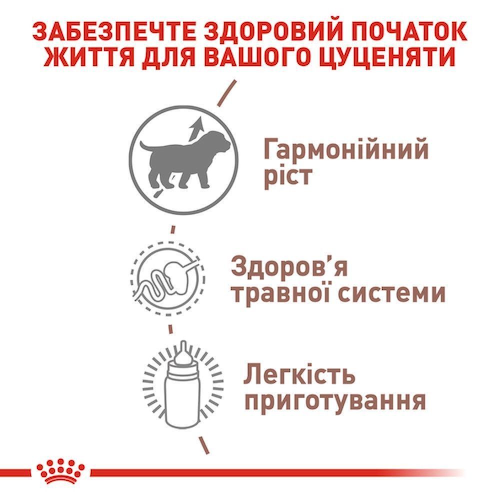 Заменитель молока для щенков Royal Canin Babydog Milk 2 кг