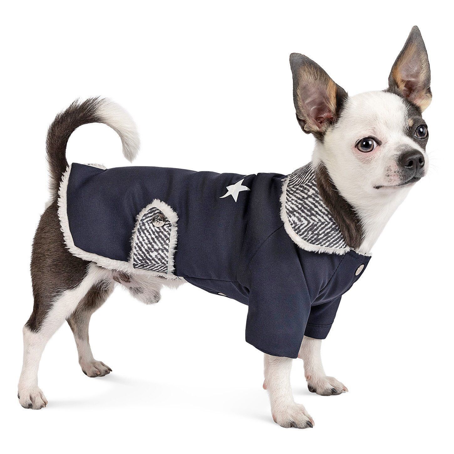 Жакет для собак Pet Fashion «Sirius» XS Жакет для собак Pet Fashion «Sirius» XS