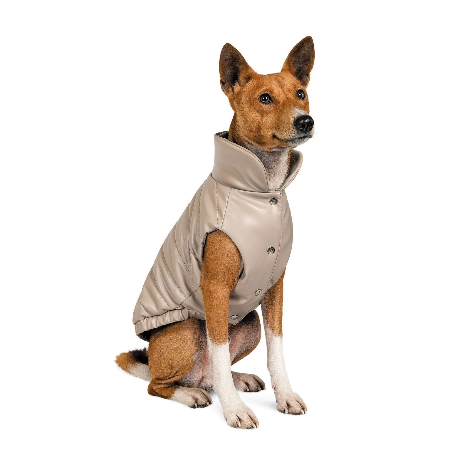 Жилет для собак Pet Fashion «Bright» M (бежевий) Жилет для собак Pet Fashion «Bright» M (бежевий)