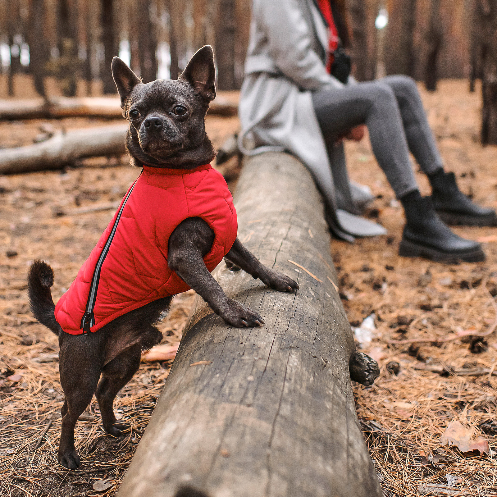 Жилет для собак Pet Fashion E.Vest S - червоний Жилет для собак Pet Fashion E.Vest S - червоний