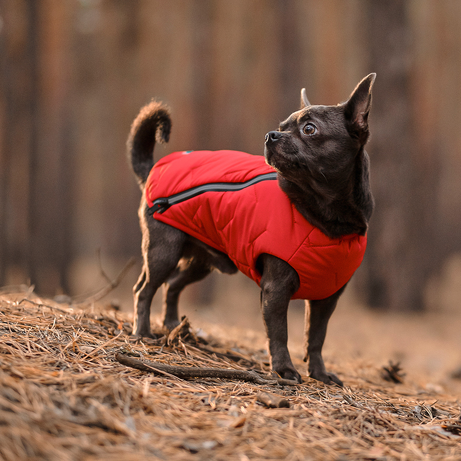 Жилет для собак Pet Fashion E.Vest S - червоний Жилет для собак Pet Fashion E.Vest S - червоний