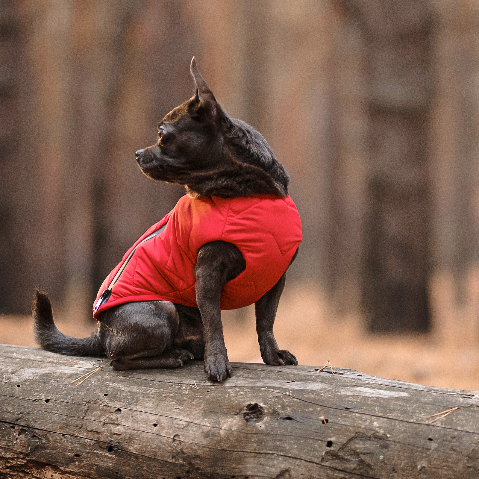 Жилет для собак Pet Fashion E.Vest S - червоний Жилет для собак Pet Fashion E.Vest S - червоний