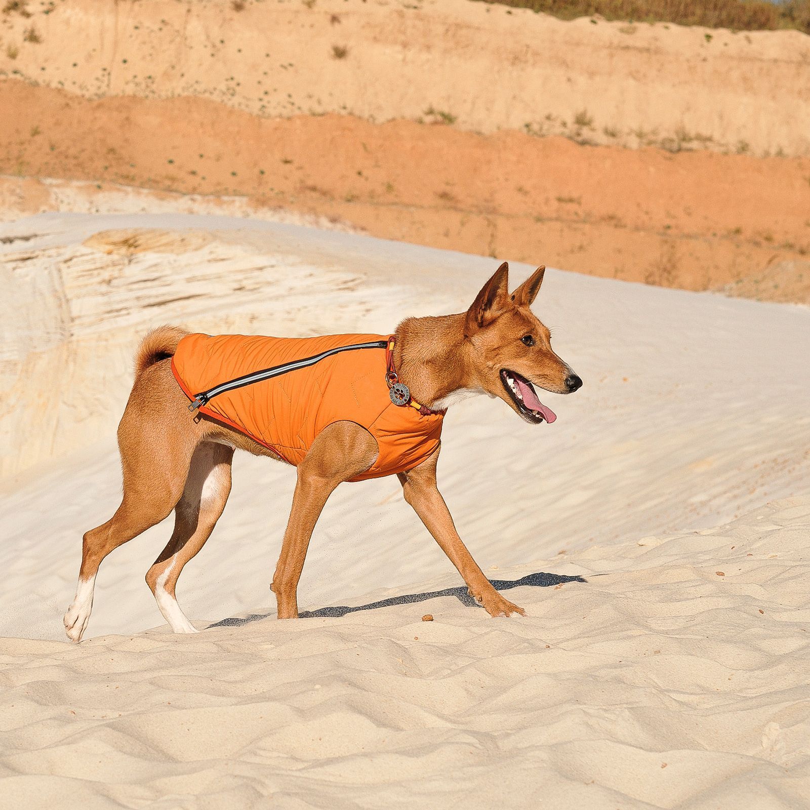 Жилет для собак Pet Fashion E.Vest М-1 (помаранчевий) Жилет для собак Pet Fashion E.Vest М-1 (помаранчевий)