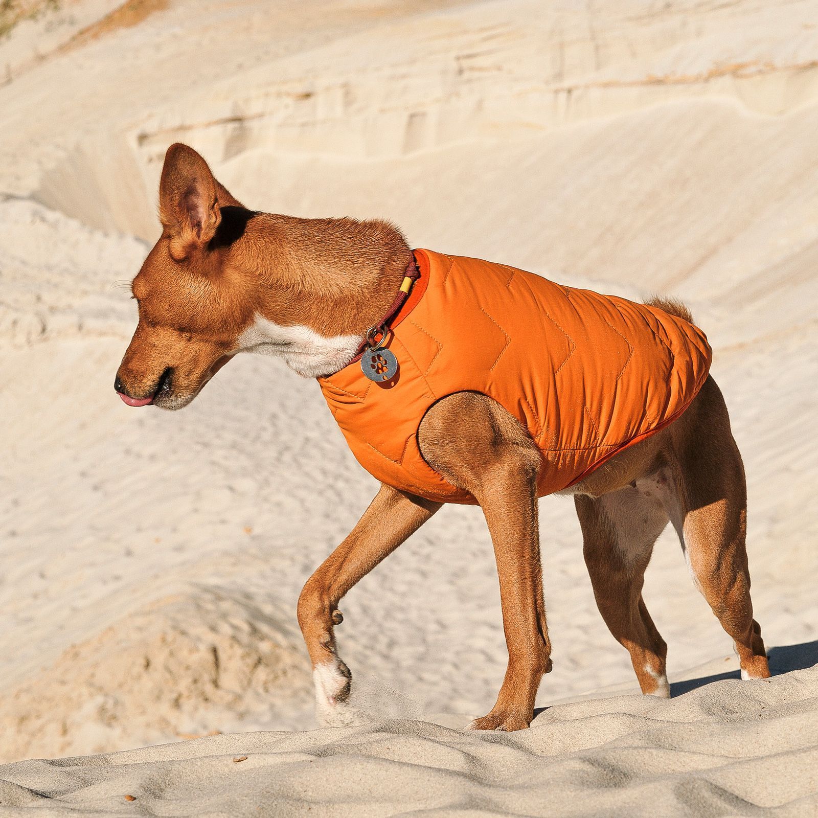 Жилет для собак Pet Fashion E.Vest М-1 (помаранчевий) Жилет для собак Pet Fashion E.Vest М-1 (помаранчевий)