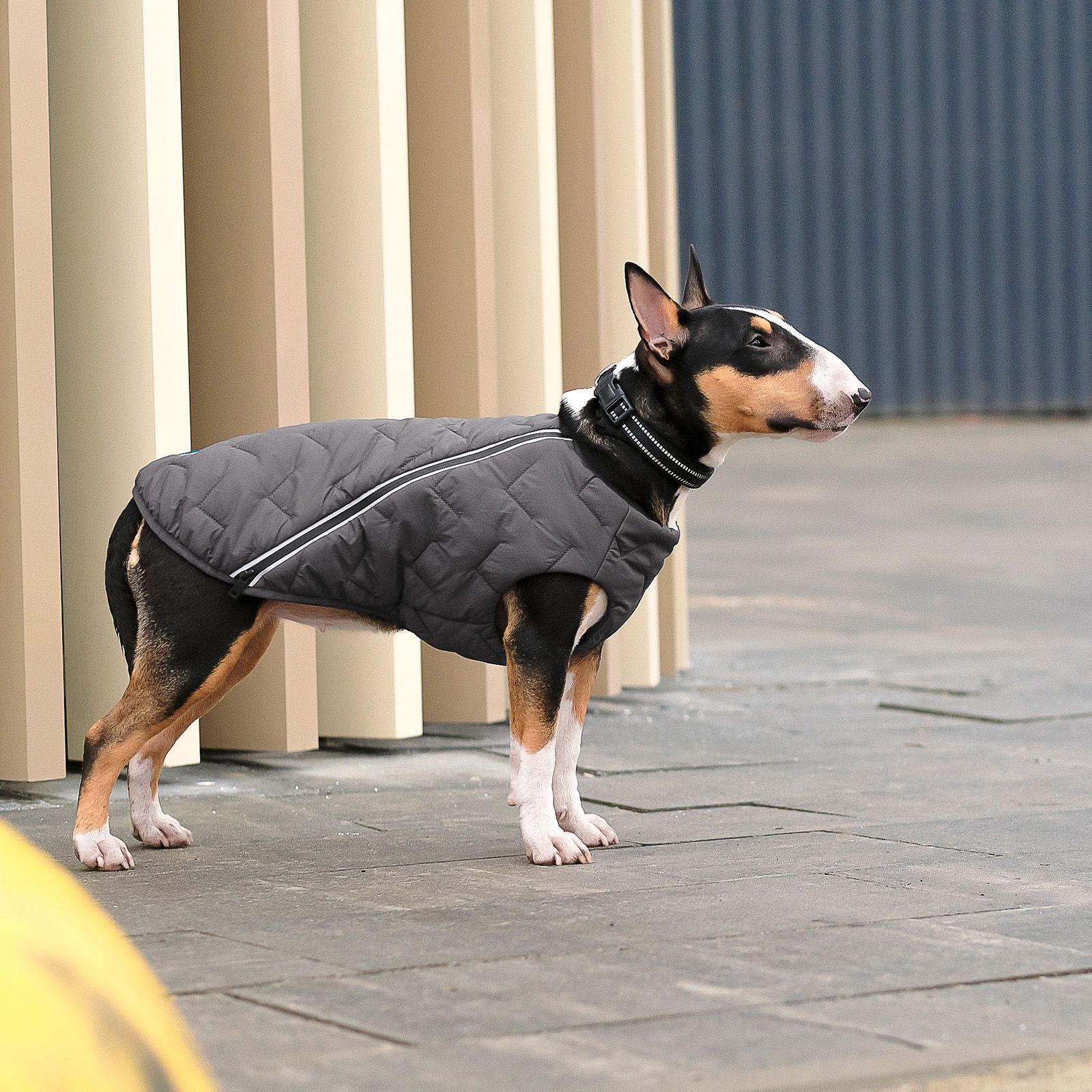 Жилет для собак Pet Fashion E.Vest XS-2 (сірий) Жилет для собак Pet Fashion E.Vest XS-2 (сірий)