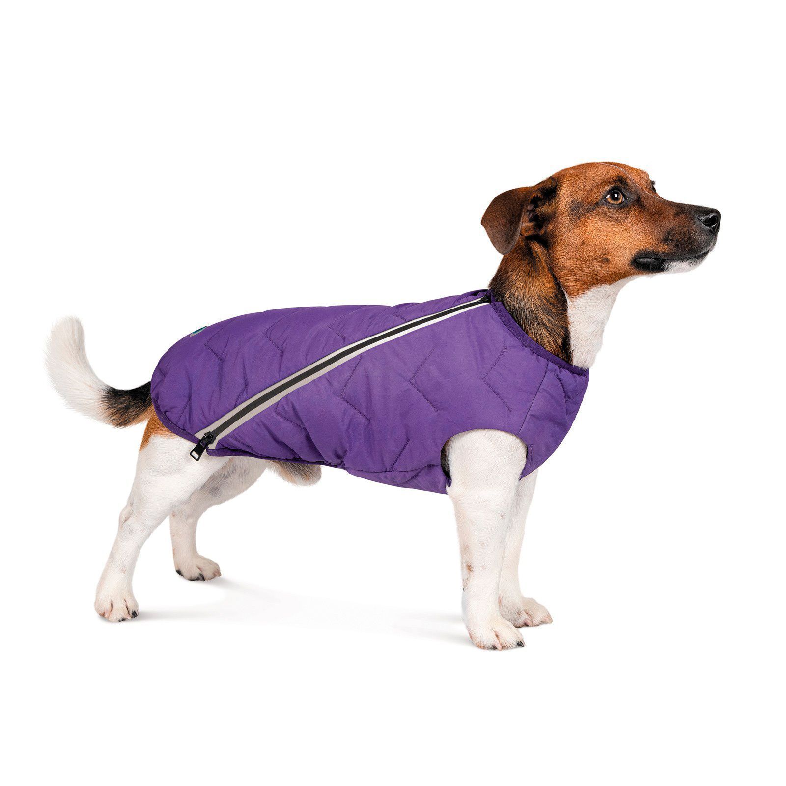 Жилетка для собак Pet Fashion E.Vest XS (фиолетовый) Жилетка для собак Pet Fashion E.Vest XS (фиолетовый)