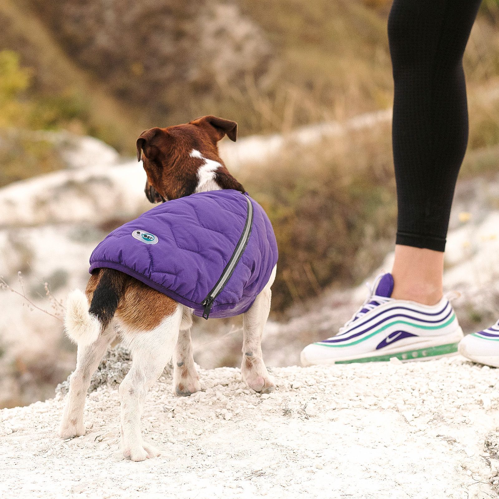 Жилетка для собак Pet Fashion E.Vest XS (фиолетовый) Жилетка для собак Pet Fashion E.Vest XS (фиолетовый)