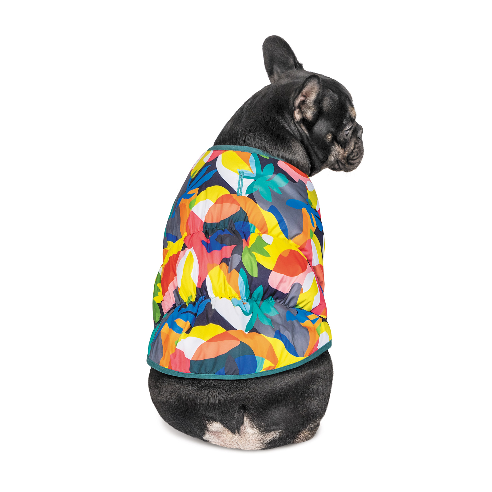 Жилет для собак Pet Fashion «Spring» принт XXS