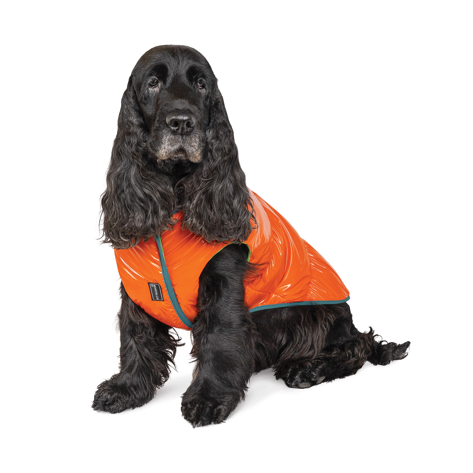 Pet Fashion Spring жилет для собак XS