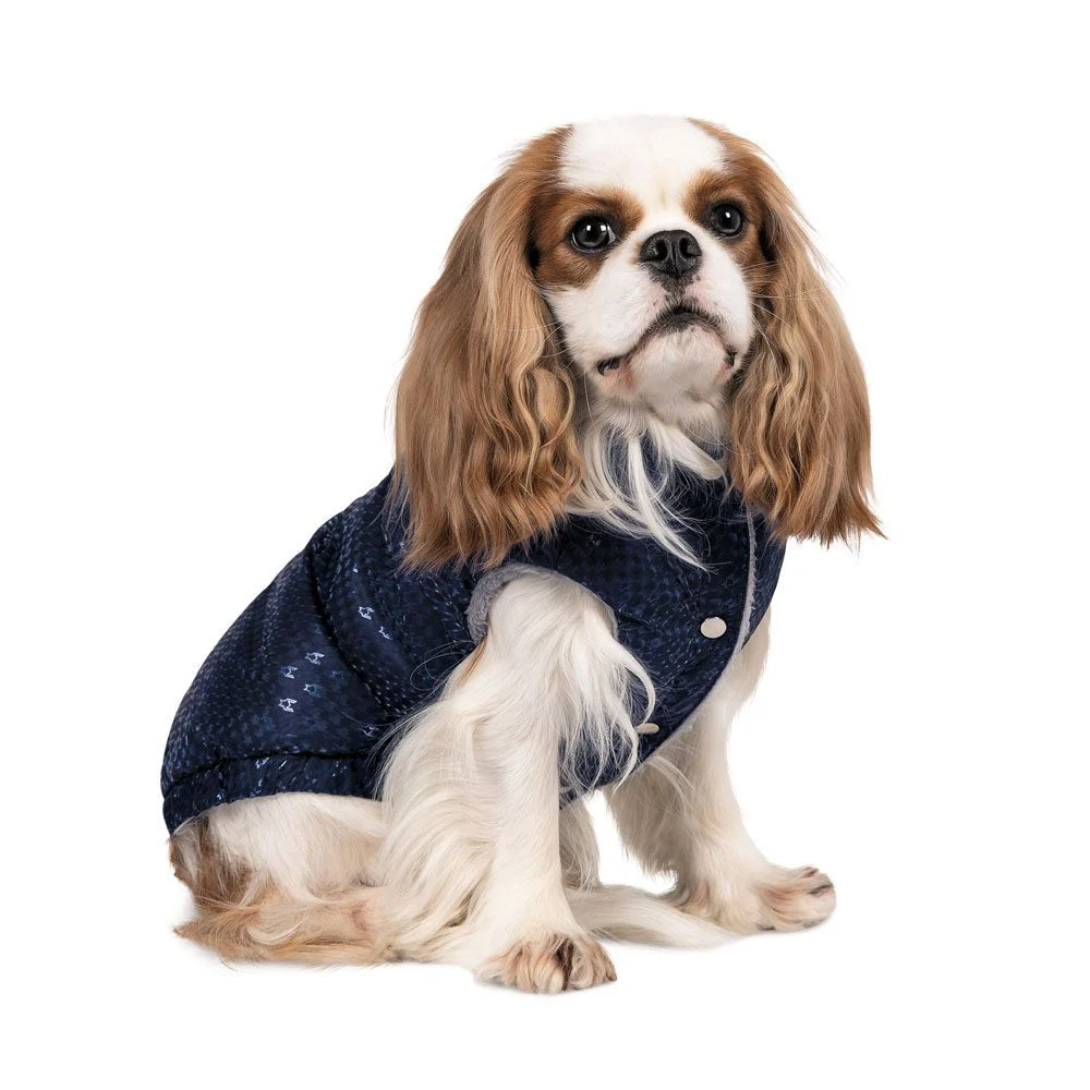 Pet Fashion Lucky жилет для собак S-2 Pet Fashion Lucky жилет для собак S-2