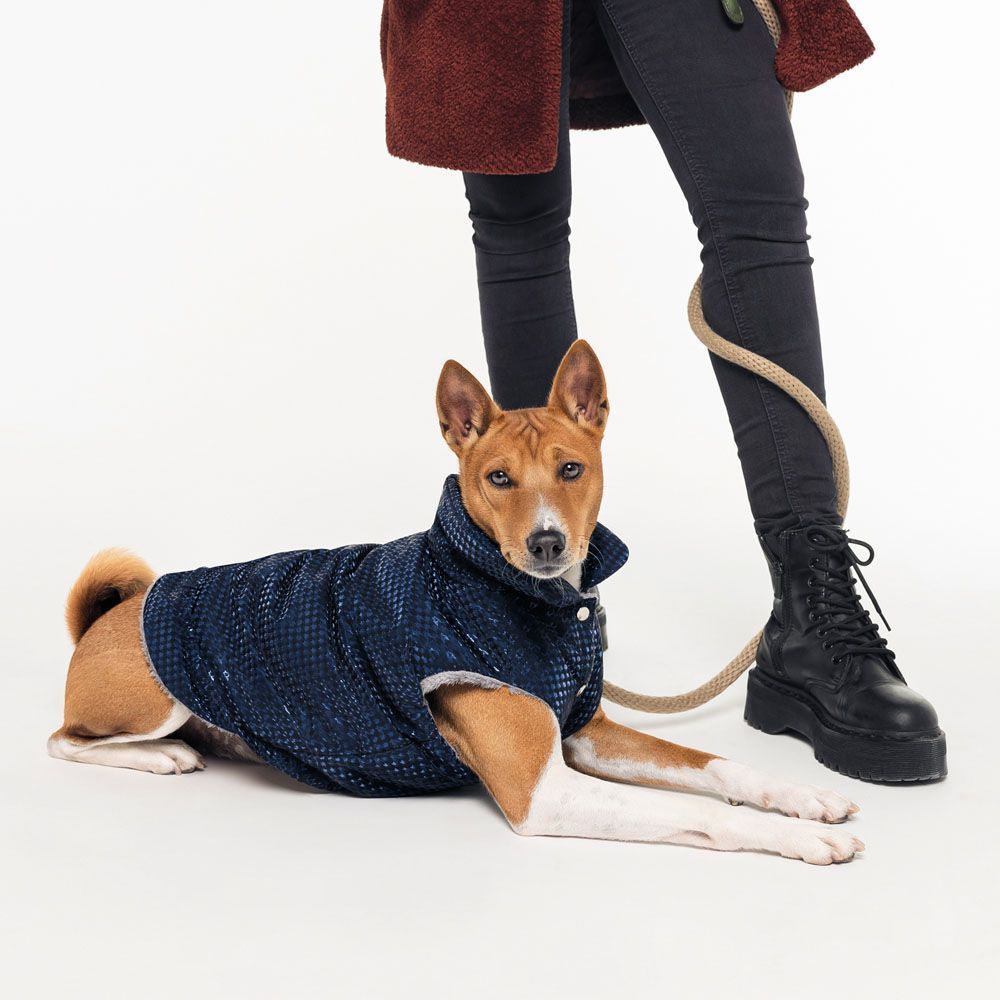 Pet Fashion Lucky жилет для собак S-2 Pet Fashion Lucky жилет для собак S-2