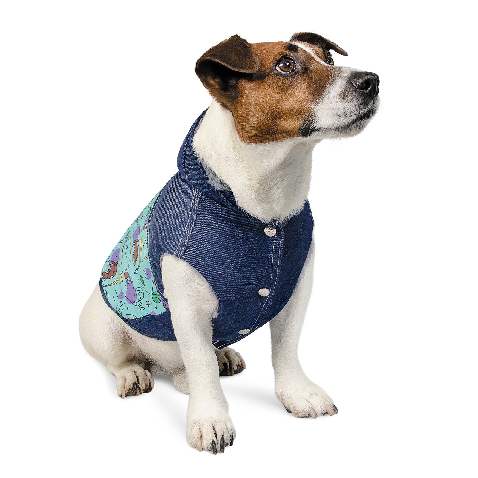 Жилетка для собак Pet Fashion «Орбита» XS