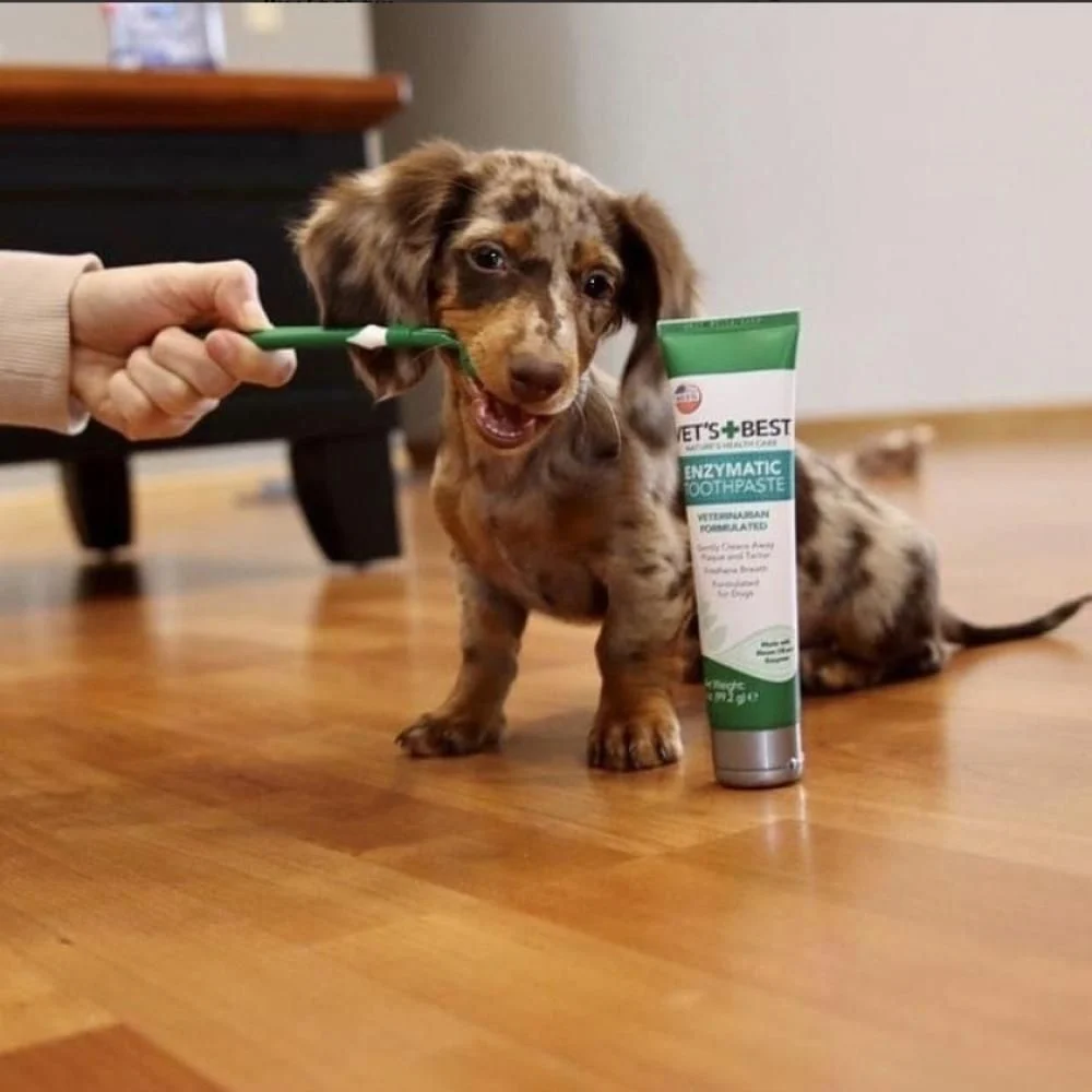 Зубна паста Vet`s Best Enzymatic Toothpaste 103 мл