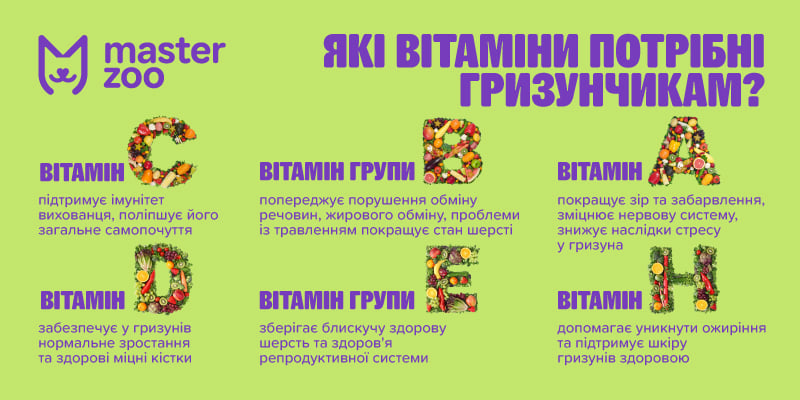 Инфографика витамины и ветпрепараты для грызунов |  MasterZoo