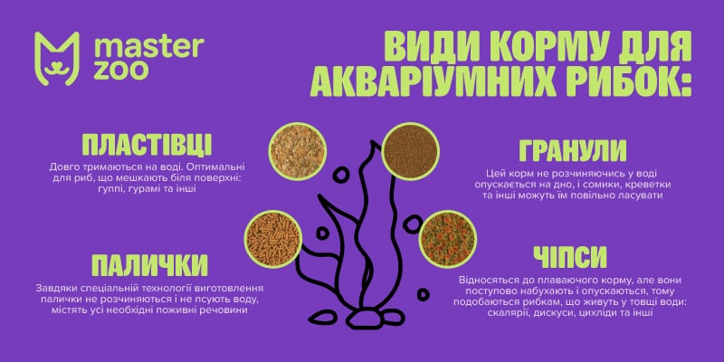 інфографіка корм для рыб| MasterZoo