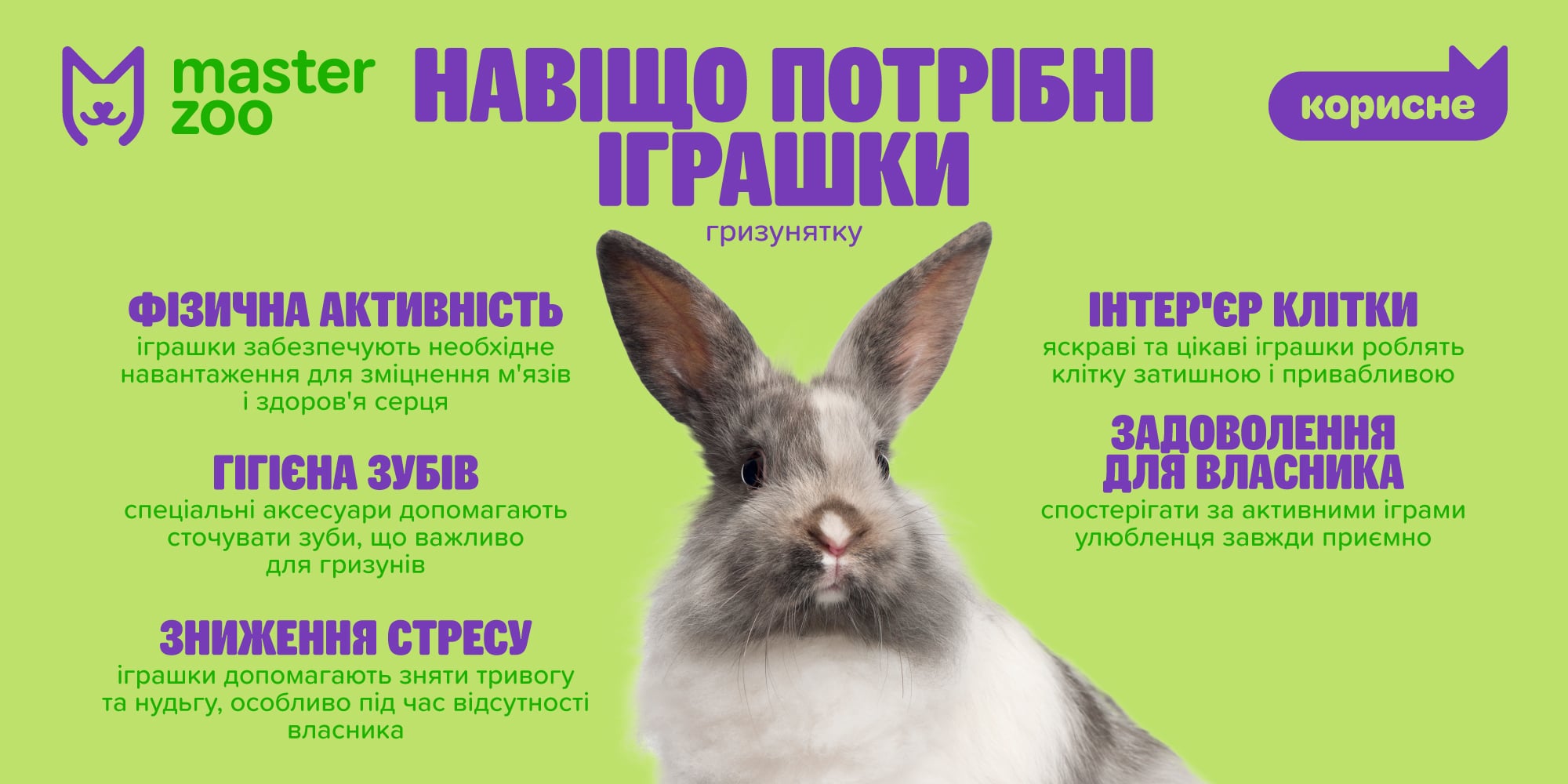 Инфографика игрушки для грызуна | MasterZoo