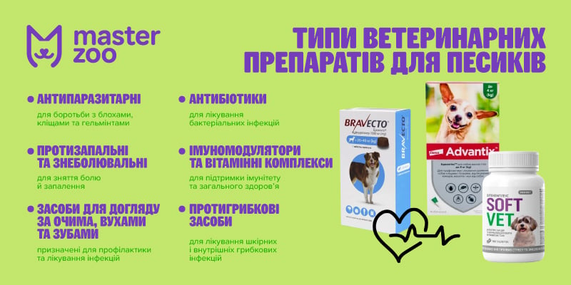 инфографика ветпрепараты  для собак |  MasterZoo